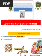 ANATOMIA DA COLUNA VERTEBRAL II 2019 (1)