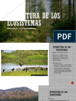 Estructura de Los Ecosistemas PDF