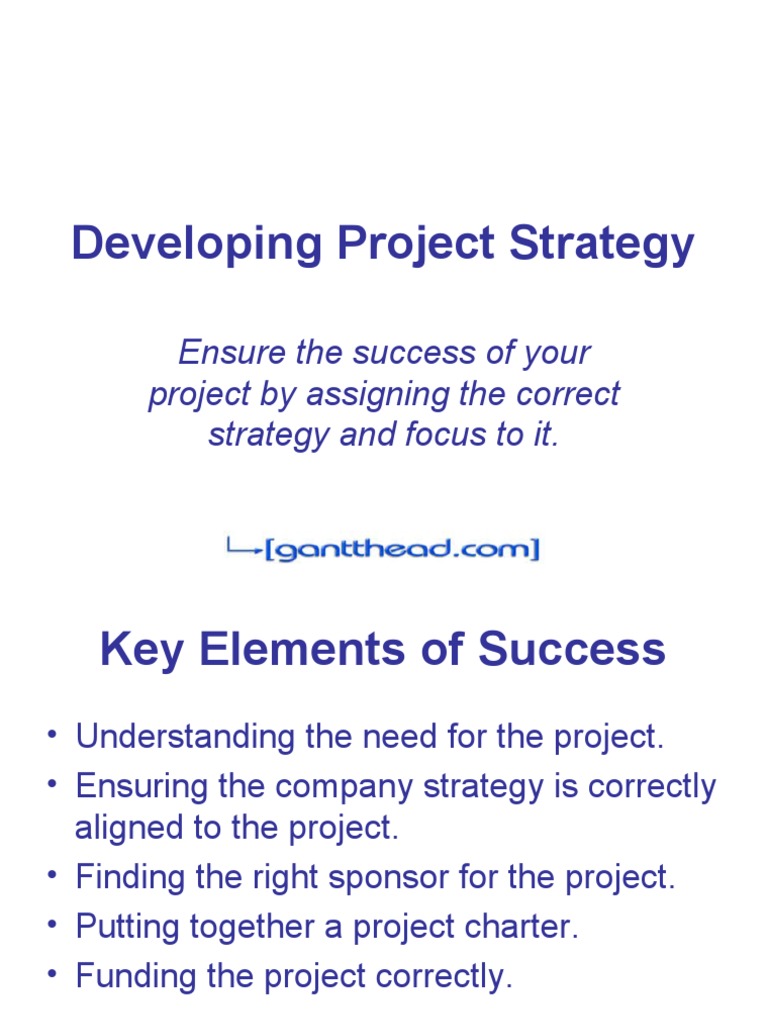 Effective Project Strategy Development | PDF | Marketing | Business Process