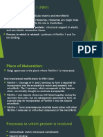 PROTEIN: Fibrillin 1 (FBN1)