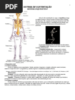 SISTEMA DE SUSTENTAÇÃO