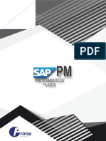 Sap PM Prime Institute PDF