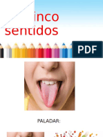 Power Point 5 Sentidos