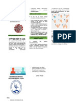 Triptico coranovirus personas comunes