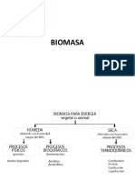 05-Biomasa UMSA PDF