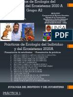 Práctica 1 A2 Villegas PDF