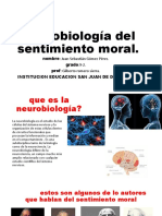 Neurobiología Del Sentimiento Moral