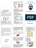 Triptico enfermedades hepáticas-IMPRIMIR