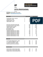 Issue Profesoional