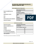 Formato Informe Individual Burnout