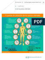 Pulsos PDF