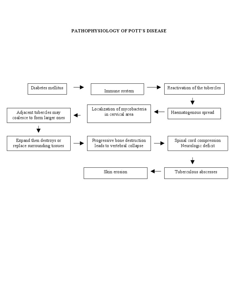 Pott's Disease Pathophysiology Explained | PDF