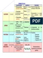 Biomolculacuadrppdf PDF