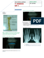 Bone PDF