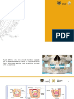 Erupcion y Calcificacion Diapositivas