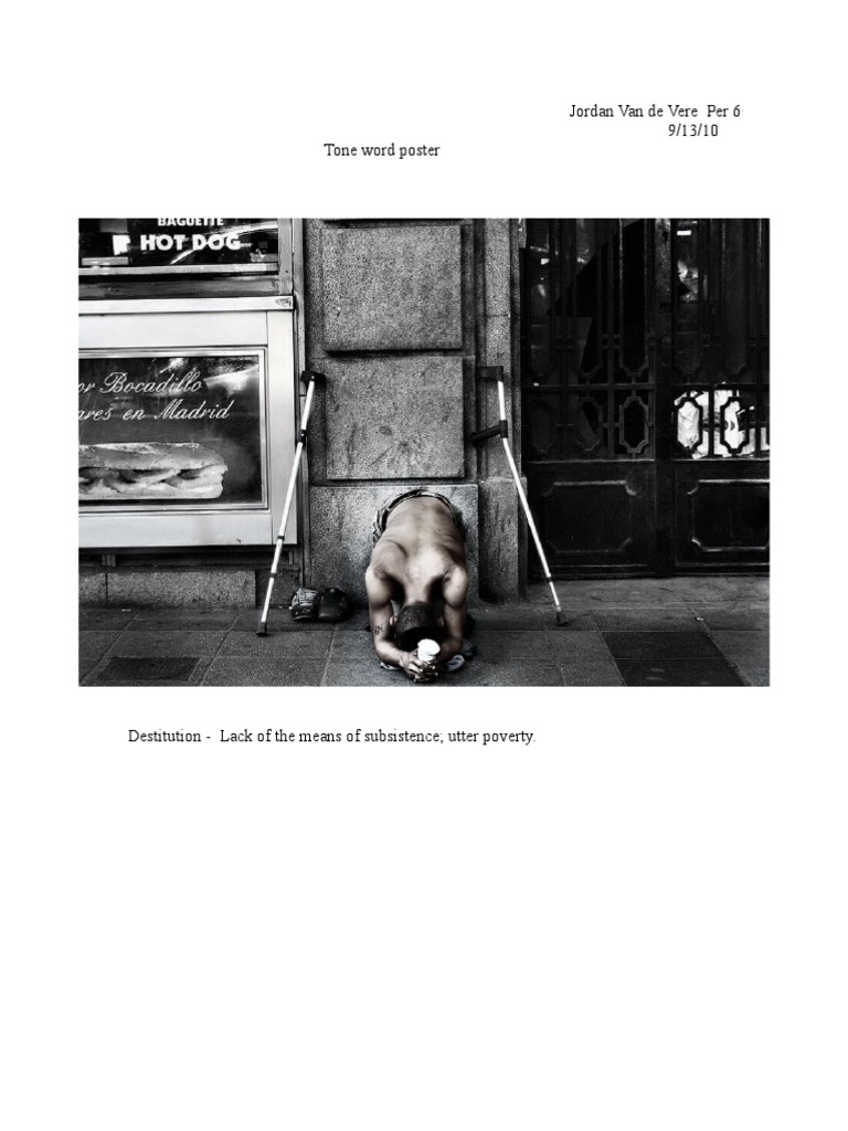 Understanding Destitution | PDF