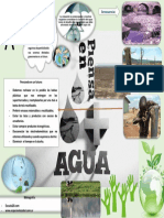 Infografia La Cuestion Del Agua PDF
