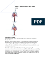 Compare The Pulmonary and Systemic Circuits of The Cardiovascular System