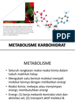 Metabolisme KH PDF