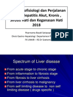 Hepatitis PDF