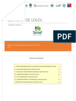 R06304-INFORME COMUNAL LOLOL