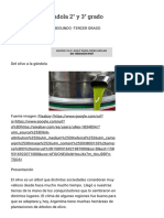 Del Olivo A La Góndola 2° y 3° Grado PDF