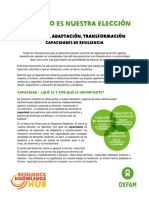 05-Resilience-capacities.pdf