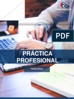 Práctica Profesional - 2018 PDF