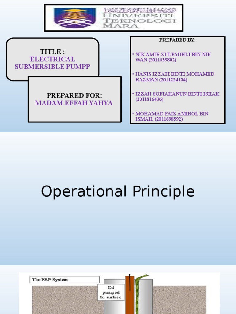 Operational Principles of Submersible Electrical Submersible Pumps PDF Dynamics (Mechanics