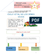 Ciclo Vital de Los Seres Vivos