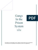 Gangs in The Prison System