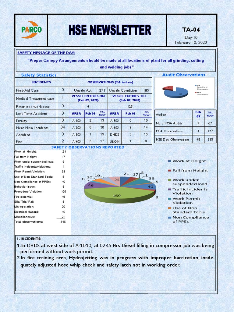 Safety Statistics Audit Observations PDF Manufactured Goods Nature