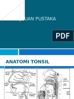 Tonsilofaringitis Tinjauan Pustaka