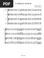score.pdf