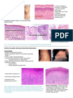 Pathology 5 B PDF