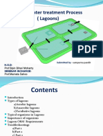 Waste Water Treatment Process (Lagoons) : Submitted by H.O.D Seminar Incharge