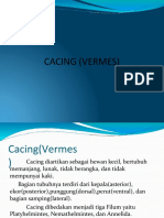Cacing (Vermes)