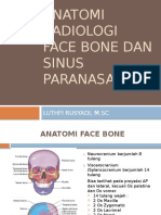 Anrad Face Bone Dan Sinus Paranasal