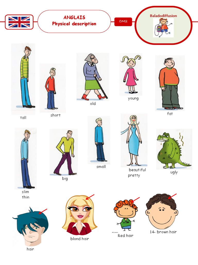 Physical Descriptions Vocabulary Guide | PDF