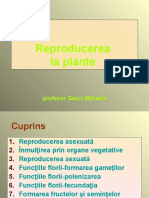 Reproducerea La Plante