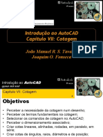 Autocad VII