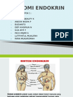 Anatomi Endokrin Kel 1