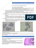 Clase 1 Digestivo Patologia 2017