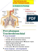 Patofisioogi Respirasi PDF
