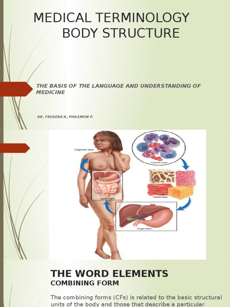 Medical Terminology Body Structure: The Basis of The Language and ...