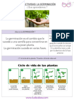 Ludiactividad - ¿ Que Aprendemos