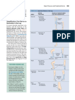 nerves lower extremity 1.pdf