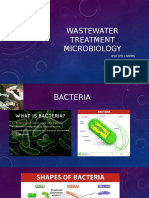 Wastewater Treatment Microbiology