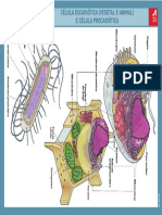 2008-9-29-16-11-56-171__transparencia_02.pdf