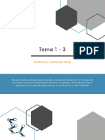 Dinamica Control PDF